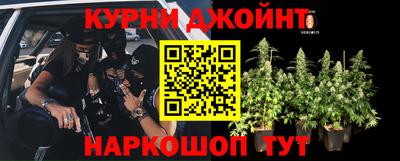 МДПВ Рыбинск