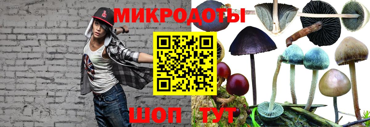 где найти наркотики  Псилоцибиновые грибы мицелий  Псилоцибиновые грибы Psilocybine cubensis  Вход с VPN  Обь 